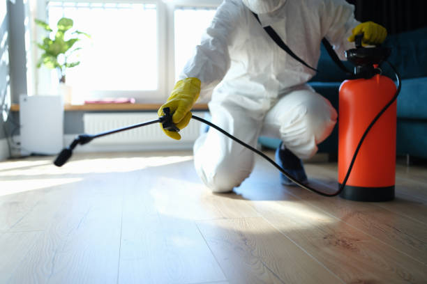 Reliable Hoarding Cleanup contractor in Campbell, OH by Trauma Clean Pros